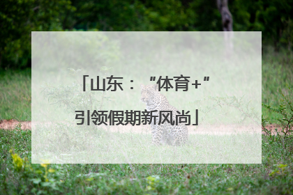 山东：“体育+”引领假期新风尚
