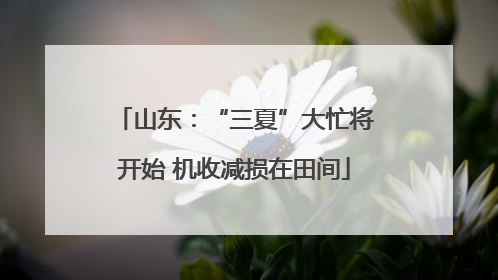 山东：“三夏”大忙将开始 机收减损在田间