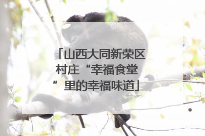 山西大同新荣区 村庄“幸福食堂”里的幸福味道