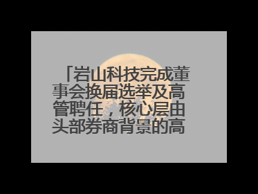 岩山科技完成董事会换届选举及高管聘任，核心层由头部券商背景的高管掌控