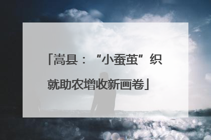 嵩县：“小蚕茧”织就助农增收新画卷