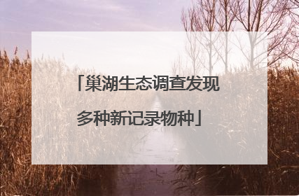 巢湖生态调查发现多种新记录物种