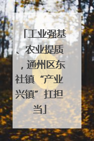 工业强基、农业提质，通州区东社镇“产业兴镇”扛担当