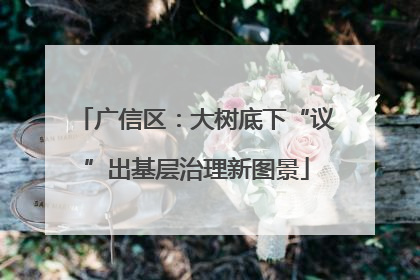 广信区：大树底下“议”出基层治理新图景