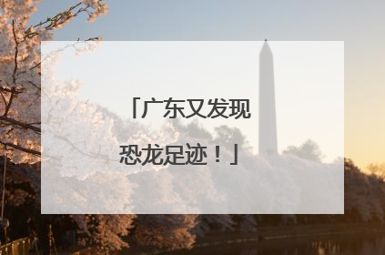 广东又发现恐龙足迹！