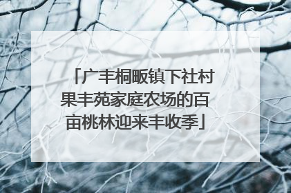 广丰桐畈镇下社村果丰苑家庭农场的百亩桃林迎来丰收季