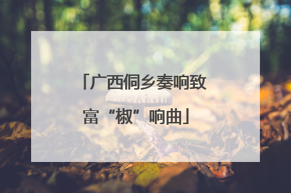 广西侗乡奏响致富“椒”响曲