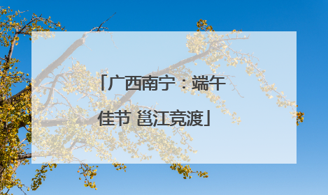 广西南宁：端午佳节 邕江竞渡