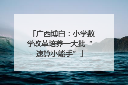 广西博白：小学数学改革培养一大批“速算小能手”