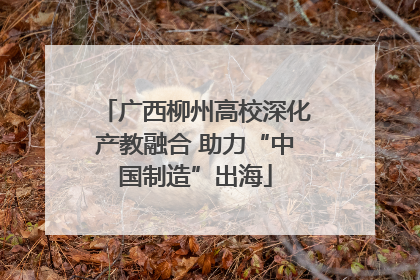 广西柳州高校深化产教融合 助力“中国制造”出海