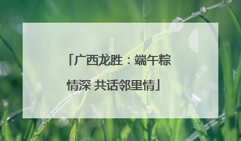 广西龙胜：端午粽情深 共话邻里情