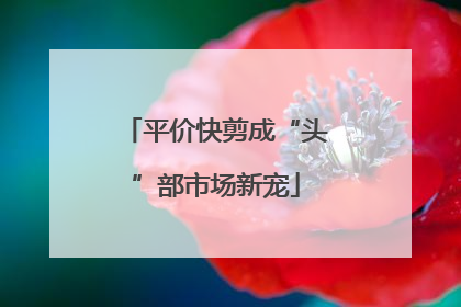平价快剪成“头”部市场新宠