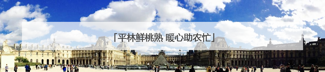 平林鲜桃熟 暖心助农忙