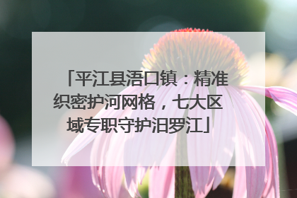 平江县浯口镇：精准织密护河网格，七大区域专职守护汨罗江