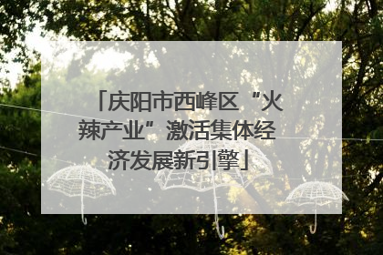 庆阳市西峰区“火辣产业”激活集体经济发展新引擎