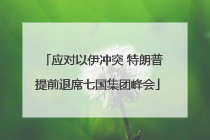 应对以伊冲突 特朗普提前退席七国集团峰会