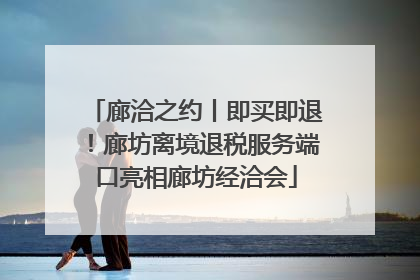 廊洽之约丨即买即退！廊坊离境退税服务端口亮相廊坊经洽会