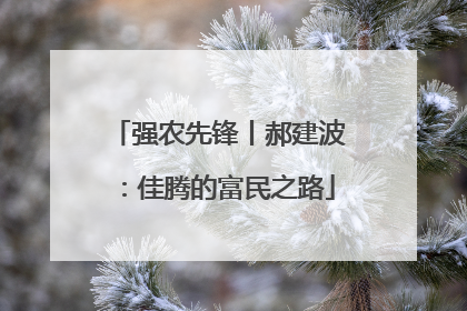 强农先锋丨郝建波：佳腾的富民之路