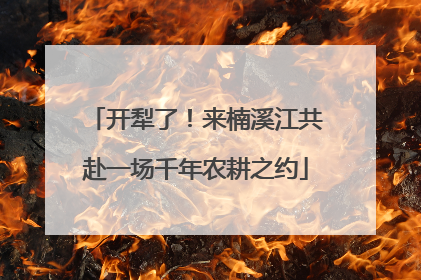 开犁了！来楠溪江共赴一场千年农耕之约