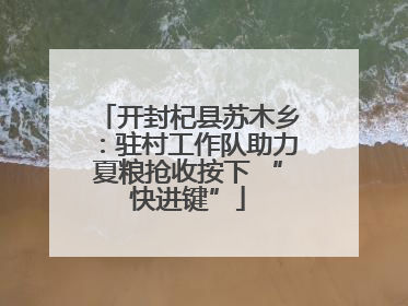 开封杞县苏木乡：驻村工作队助力夏粮抢收按下 “快进键”