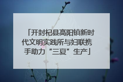 开封杞县高阳镇新时代文明实践所与妇联携手助力“三夏”生产