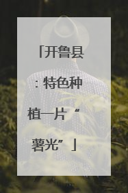 开鲁县：特色种植一片“薯光”