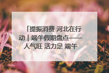 提振消费 河北在行动｜端午假期盘点——人气旺 活力足 端午经济“热浪”迭起
