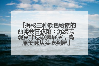 揭秘三种颜色绘就的西博会甘孜馆：沉浸式观赏非遗歌舞展演，高原美味从头吃到尾