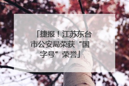 捷报！江苏东台市公安局荣获“国字号”荣誉
