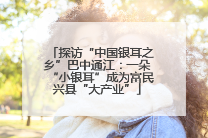 探访“中国银耳之乡”巴中通江：一朵“小银耳”成为富民兴县“大产业”