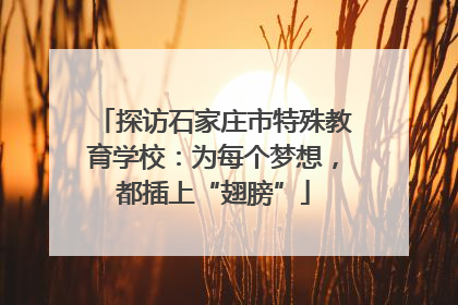 探访石家庄市特殊教育学校：为每个梦想，都插上“翅膀”