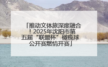 推动文体旅深度融合！2025年沈阳市第五届“联盟杯”橄榄球公开赛燃情开赛