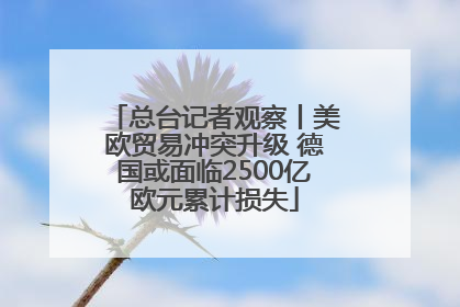 总台记者观察丨美欧贸易冲突升级 德国或面临2500亿欧元累计损失