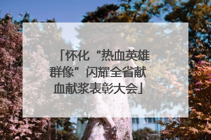 怀化“热血英雄群像”闪耀全省献血献浆表彰大会
