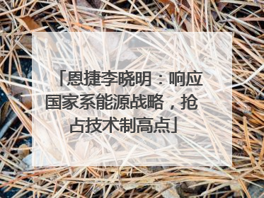恩捷李晓明：响应国家系能源战略，抢占技术制高点
