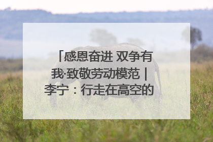 感恩奋进 双争有我·致敬劳动模范｜李宁：行走在高空的“电网卫士”