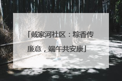 戴家河社区：粽香传廉意，端午共安康