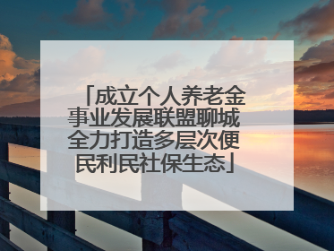 成立个人养老金事业发展联盟聊城全力打造多层次便民利民社保生态