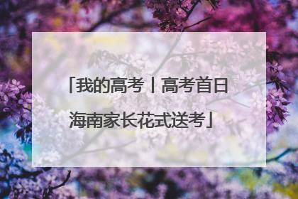 我的高考丨高考首日 海南家长花式送考