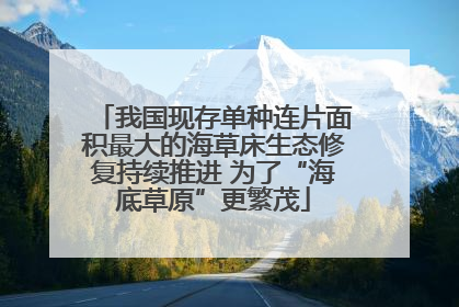 我国现存单种连片面积最大的海草床生态修复持续推进 为了“海底草原”更繁茂
