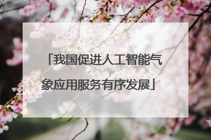我国促进人工智能气象应用服务有序发展