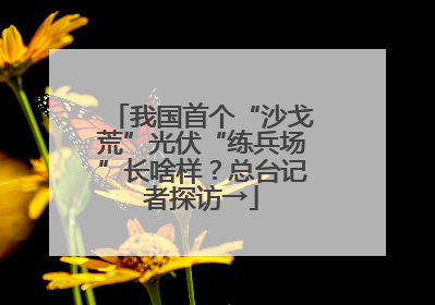 我国首个“沙戈荒”光伏“练兵场”长啥样？总台记者探访→