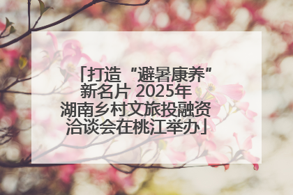 打造“避暑康养”新名片 2025年湖南乡村文旅投融资洽谈会在桃江举办