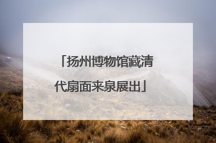 扬州博物馆藏清代扇面来泉展出