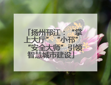 扬州邗江：“掌上大厅”“小邗”“安全大师”引领智慧城市建设