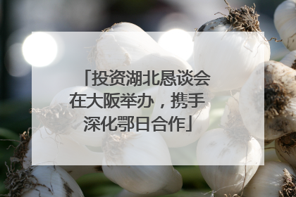 投资湖北恳谈会在大阪举办，携手深化鄂日合作