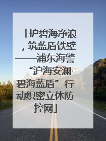护碧海净浪，筑蓝盾铁壁——浦东海警“沪海安澜·碧海蓝盾”行动织密立体防控网