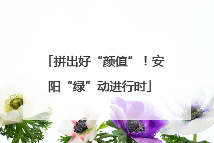 拼出好“颜值”！安阳“绿”动进行时
