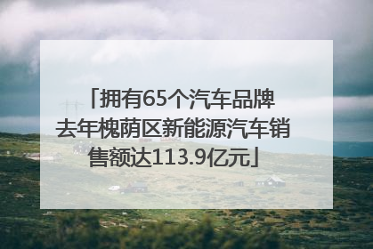 拥有65个汽车品牌 去年槐荫区新能源汽车销售额达113.9亿元