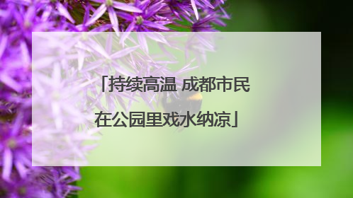 持续高温 成都市民在公园里戏水纳凉
